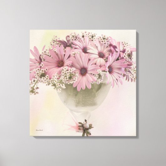 Rosa Osteospernum Leinwanddruck (Vorderseite)