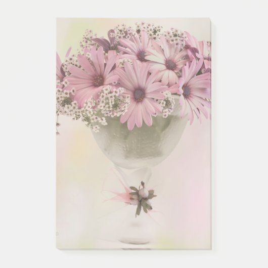 Rosa Osteospernum Post-it Klebezettel (Vorderseite)