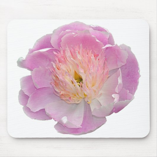 Rosa Paillone Mousepad (Vorne)