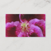 Rosa Pansy-Visitenkarten Visitenkarte (Rückseite)