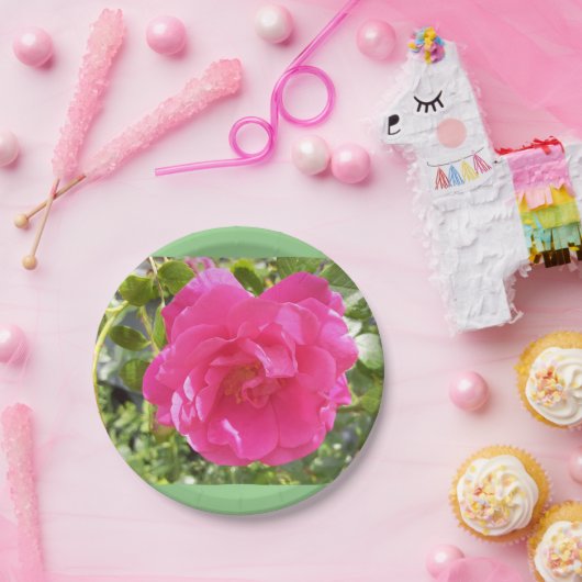 Rosa Papierplatte Pappteller (Party)