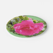 Rosa Papierplatte Pappteller (Schrägansicht)