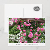 Rosa Parade Postkarte (Vorne/Hinten)