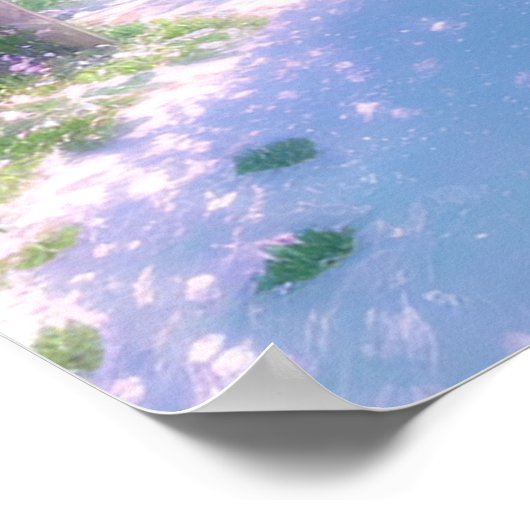 Rosa Paradies, Cherry Blossom Garten Poster (Ecke)