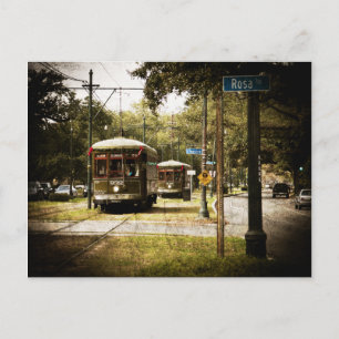 Rosa Park Drive Streetcars Postkarte
