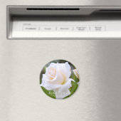 Rosa Pascali [Round Magnet] Magnet (In Situ (Geschirrspüler))