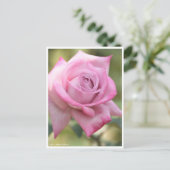 Rosa Pastel Mauve Postkarte (Stehend Vorderseite)