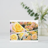Rosa Peace [Flat Card] (Stehend Vorderseite)