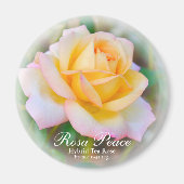 Rosa Peace Magnet (Vorne)