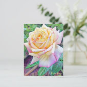 Rosa Peace [Postcard] Postkarte (Stehend Vorderseite)