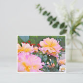 Rosa Peace Postkarte (Stehend Vorderseite)