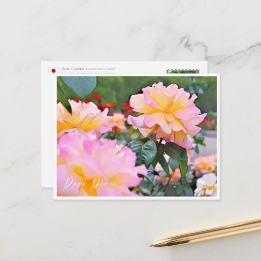 Rosa Peace Postkarte (Vorderseite/Rückseite Beispiel)