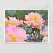 Rosa Peace Postkarte (Vorderseite)
