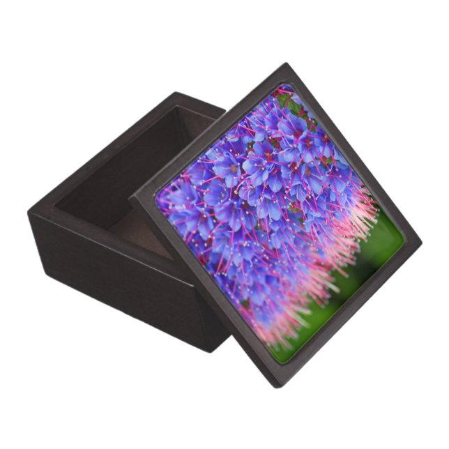 Rosa peitscht erstklassige Geschenkboxen Schachtel (Geöffnet)