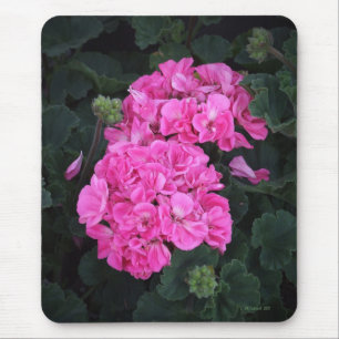 Rosa Pelargonien Mousepad