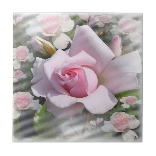 Rosa Perfektion # 2 ~ Keramik Fliese (Vorderseite)