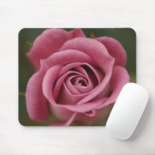 Rosa Perfektion Mousepad (Mit Mouse)