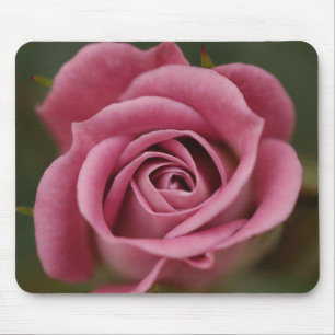 Rosa Perfektion Mousepad
