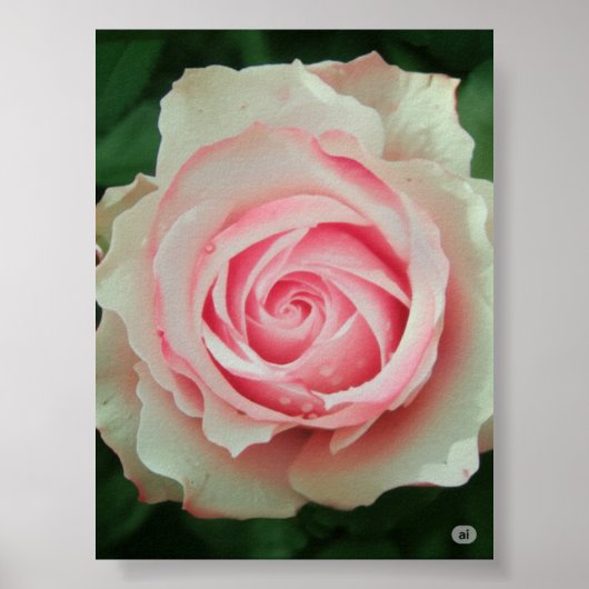 Rosa-Petal-Spirale Poster (Vorne)