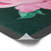 Rosa Petals 12"x12" Print Poster (Ecke)
