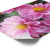 Rosa Petals Fotodruck (Ecke)