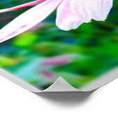 Rosa Petals Poster (Ecke)
