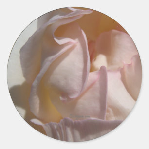Rosa Petals Rose Hochzeit Umschlag Aufkleber