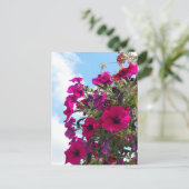 Rosa Petunia-Blume-Korb Postkarte (Stehend Vorderseite)