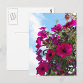 Rosa Petunia-Blume-Korb Postkarte (Vorne/Hinten)