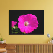 Rosa Petunia-Blume Leinwanddruck (Insitu (Wohnzimmer))