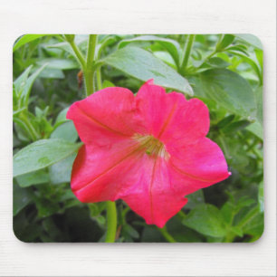 Rosa Petunia-Blume Mousepad
