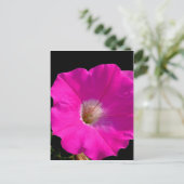 Rosa Petunia-Blume Postkarte (Stehend Vorderseite)