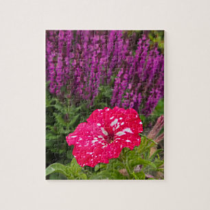 Rosa Petunie Puzzle