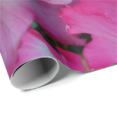 Rosa Petunien Geschenkpapier (Rolleneckpunkt)