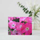 Rosa Petunien Postkarte (Stehend Vorderseite)