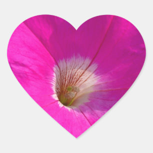 rosa Petunienblüte Herz-Aufkleber