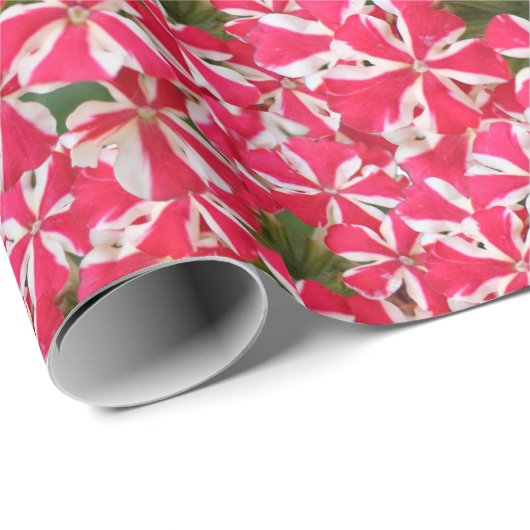 Rosa Pfefferminze-Blume Geschenkpapier (Rolleneckpunkt)