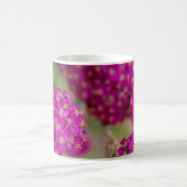 Rosa-Pfeil-Blume Kaffeetasse (Mittel)