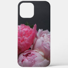Rosa Pfennige auf dunklem Hintergrund