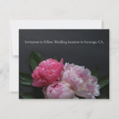 Rosa Pfennige auf dunklem Hintergrund Save The Date (Rückseite)