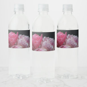 Rosa Pfennige auf dunklem Hintergrund Wasserflaschenetikett