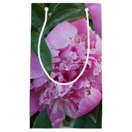 Rosa Pfingstrose Kleine Geschenktüte