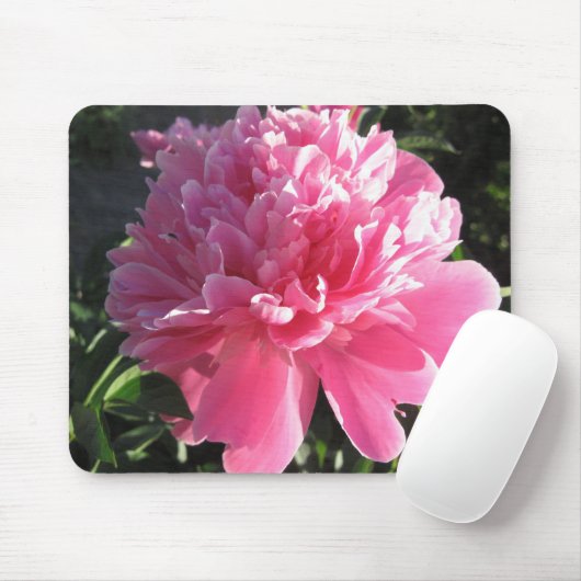 Rosa Pfingstrose Mousepad (Mit Mouse)