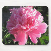 Rosa Pfingstrose Mousepad (Vorne)
