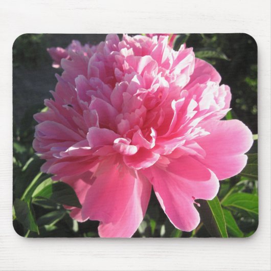 Rosa Pfingstrose Mousepad (Vorne)