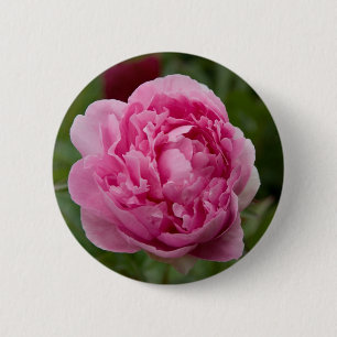 Rosa Pfingstrose Rosa Pfingstrose Button