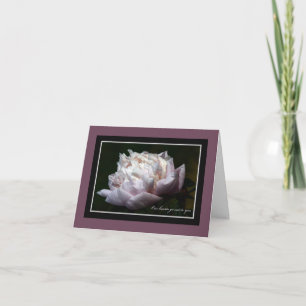 Rosa Pfingstrosen-Beileids-Anmerkungs-Karte Karte