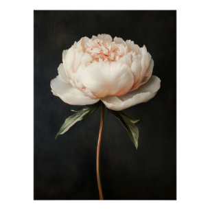 Rosa Pfingstrosen-Botanik-Gemälde Poster