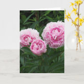 Rosa Pfingstrosen, Geburtstag Karte (Gelbe Blume)