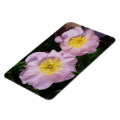 Rosa Pfingstrosen Magnet (Linke Seite)